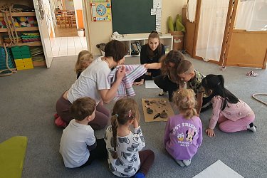 Obrázek č.80